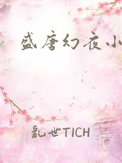 盛唐幻夜小说