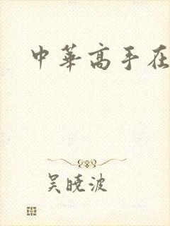 中华高手在异世