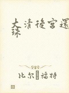 大清后宫还君明珠