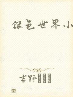 银色世界小说