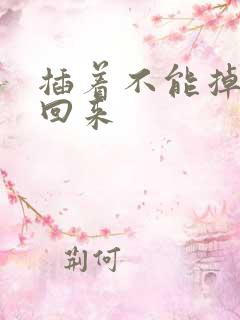 插着不能掉等我回来