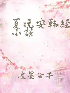 夏晚安韩经年的小说