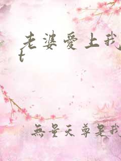 老婆爱上我txt