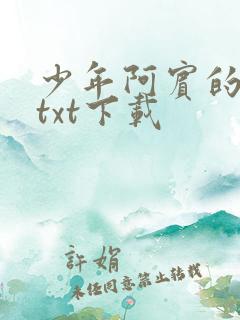 少年阿宾的故事txt下载
