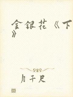 金银花《下厨房》