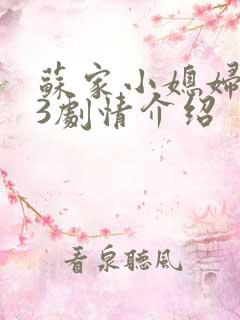 苏家小媳妇1v3剧情介绍