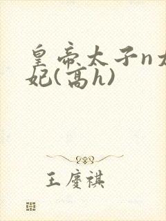 皇帝太子n太子妃(高h)