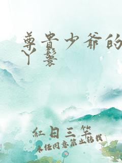 尊贵少爷的大牌丫鬟