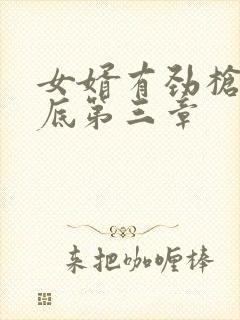 女婿有劲枪枪到底第三章