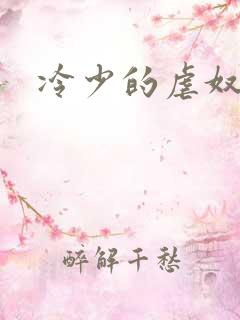 冷少的虐奴
