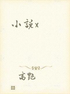小说x