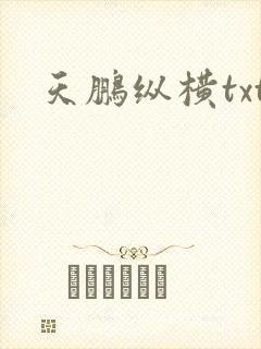 天鹏纵横txt