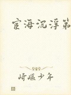 宦海沉浮第三部