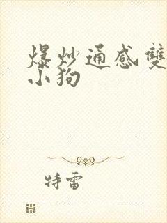 爆炒通感双胞胎小狗