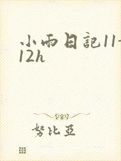 小雨日记11-12h