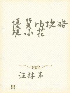 优质rb攻略系统小花