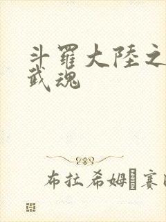 斗罗大陆之三生武魂