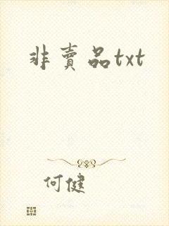 非卖品txt