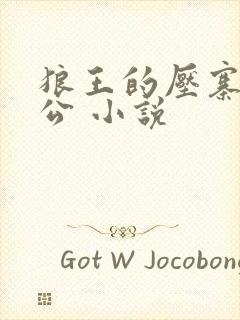 狼王的压寨小相公 小说