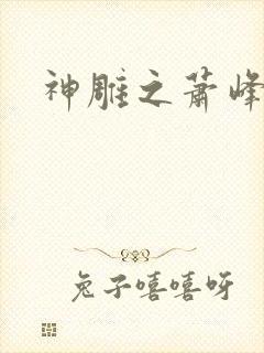 神雕之萧峰后人