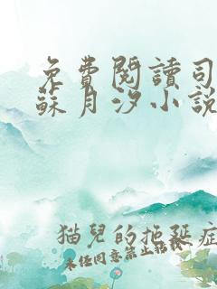 免费阅读司空靖苏月汐小说全文正版