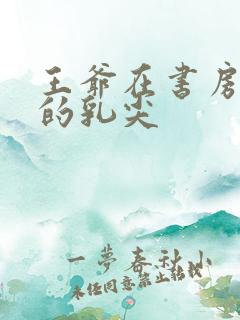 王爷在书房含她的乳尖