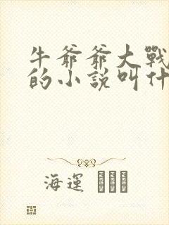 牛爷爷大战小丽的小说叫什么
