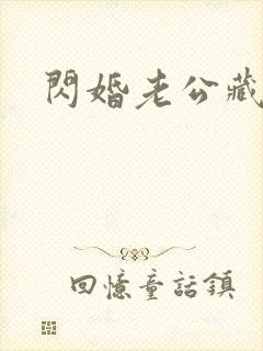 闪婚老公藏不住