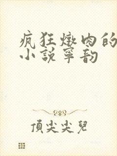 疯狂炖肉的全部小说宁韵