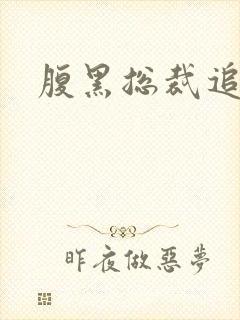 腹黑总裁追娇妻