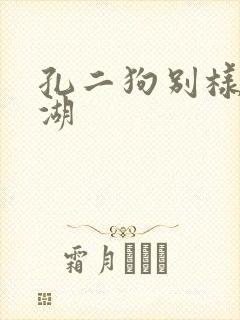 孔二狗别样的江湖