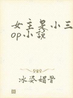 女主是小三的pop小说