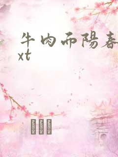 牛肉面阳春面txt