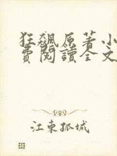 狂飙原著小说免费阅读全文