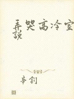 弄哭高冷室友小说