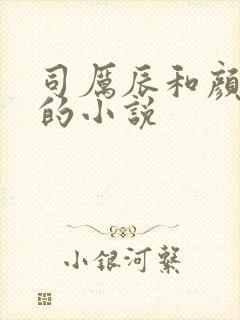 司厉辰和颜辞兮的小说