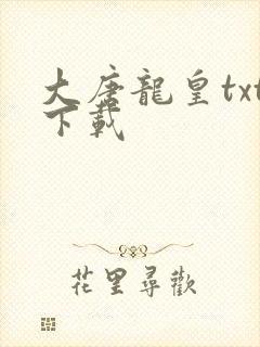 大唐龙皇txt下载