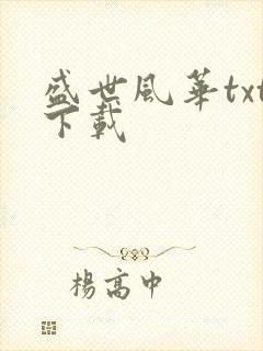 盛世风华txt下载