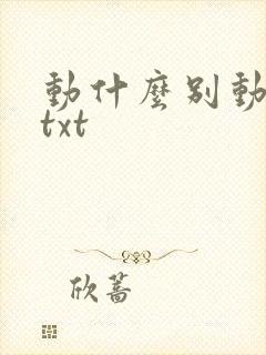 动什么别动感情txt