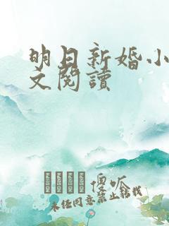 明日新婚小说全文阅读