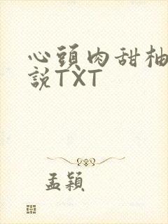 心头肉甜柚子小说TXT