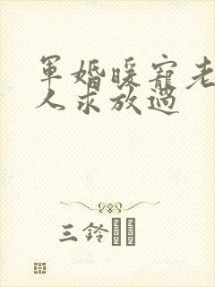 军婚暖宠老公大人求放过