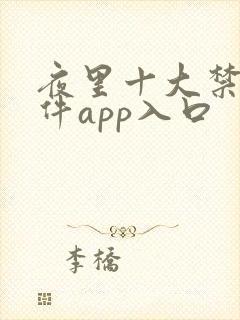 夜里十大禁用软件app入口