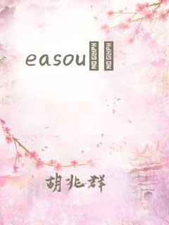 easouС˵
