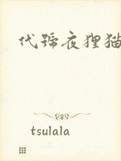 代号夜狸猫事件