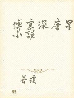 傅寒深唐星挽的小说