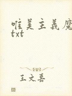 唯美主义魔法师txt