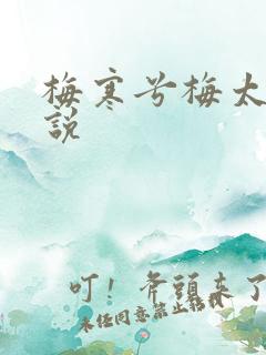 梅寒兮梅太颜小说