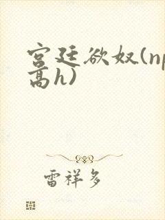 宫廷欲奴(np高h)