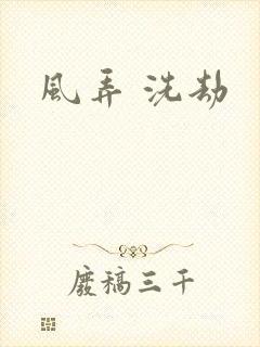 风弄 洗劫